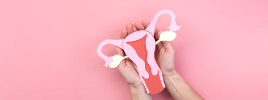 A Journey into Women’s Reproductive Wellness