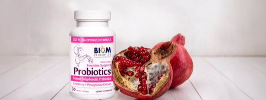 Exploring the Role of Probiotics in Women’s Reproductive Health