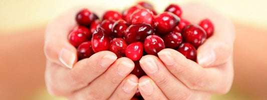 Foods to Help Keep Your Vagina Healthy