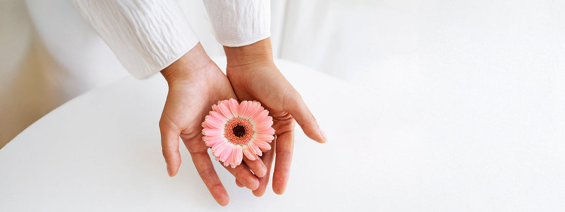 From Gut to Vaginal Health The Science-Backed Benefits of Boric Acid, Probiotics, and Prebiotics