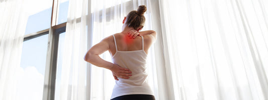 Harnessing the Power of Probiotics A Natural Approach to Combat Inflammation