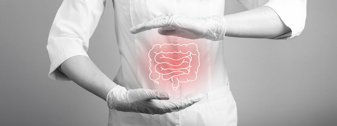 Leaky Gut Symptoms