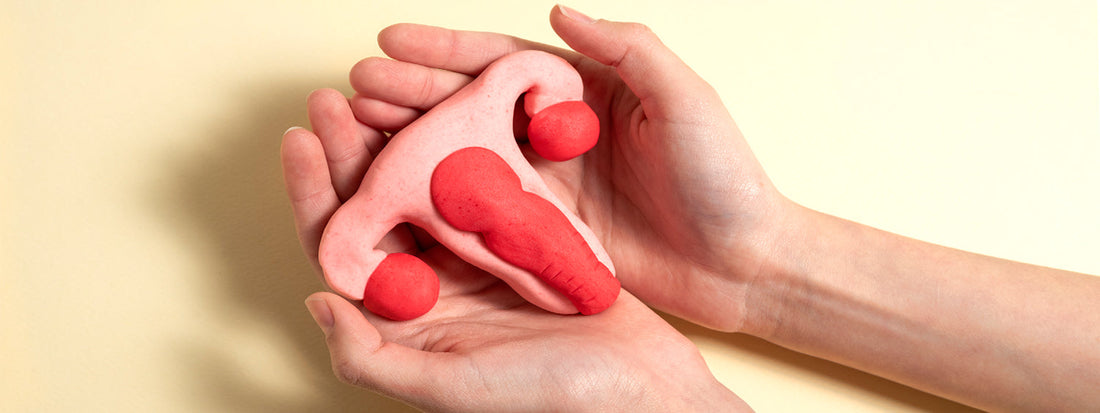 Probiotic strains for healthy vaginal pH