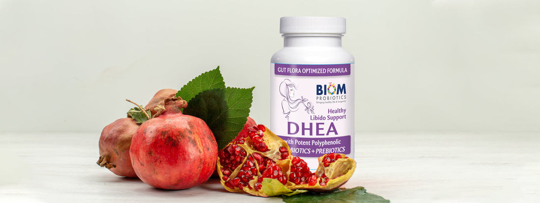 DHEA Supplement