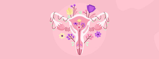 Balancing the Vaginal Microbiome for Optimal Sexual Health The Power of Probiotics