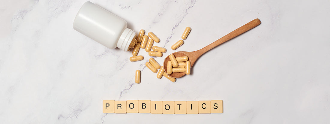 Probiotics vs. Prebiotics