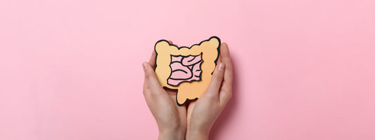 Gut Health Benefits 