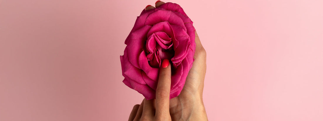 The Hidden Power of a Balanced Microbiome Protecting Against Vaginal Diseases