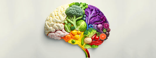 The Impact of Nutrition on Memory Health