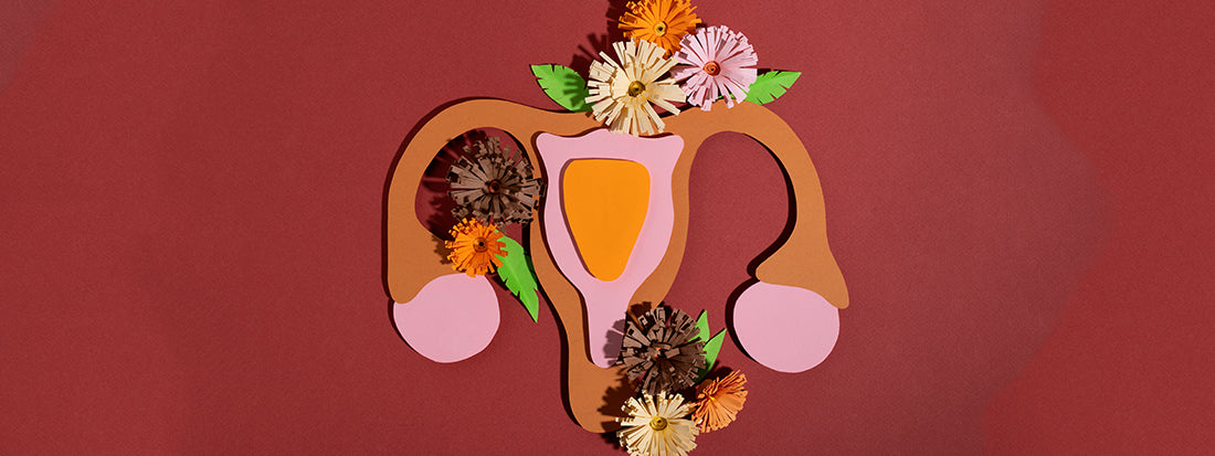 Vaginal Microbiome and pH Balance