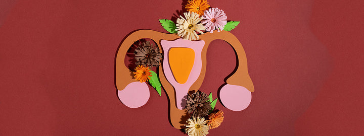 Vaginal Microbiome and pH Balance
