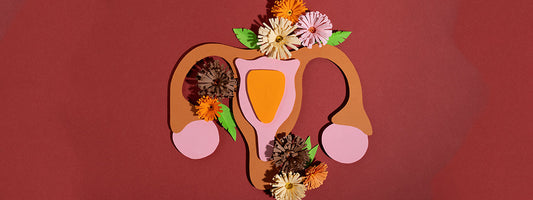 Vaginal Microbiome and pH Balance