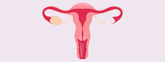 Vaginal Microbiome