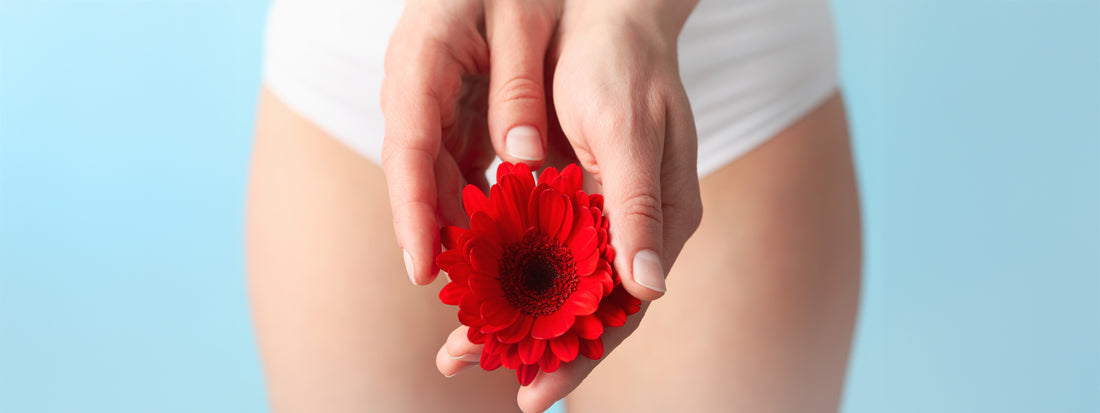 gentle probiotic feminine wash