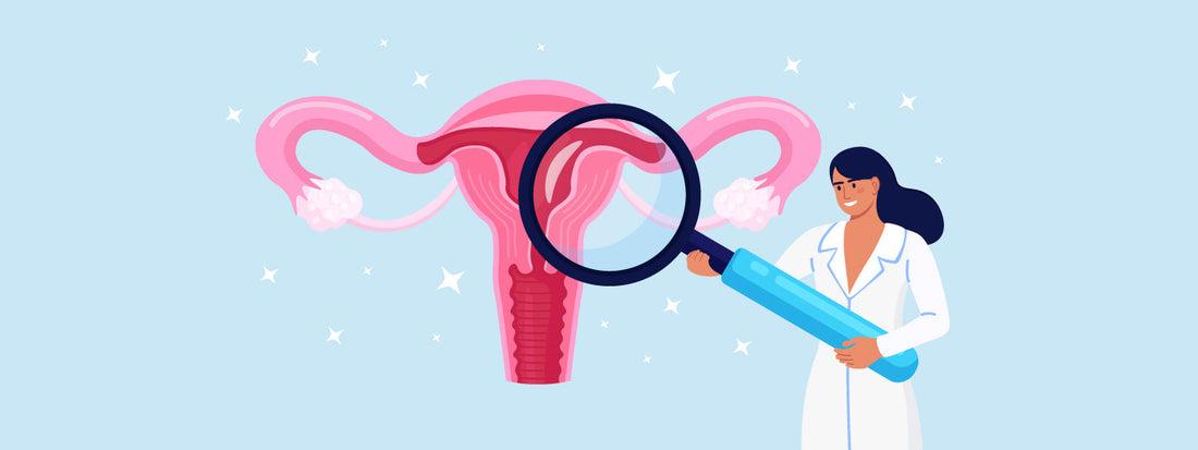 What is meant by the Vaginal Microbiome