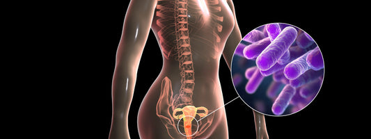 Lactobacillus in Vaginal Care