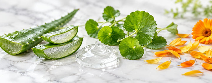 lactobalance-intimate-care-gel-ingredients