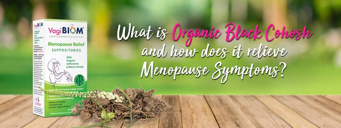 What is Organic Black Cohosh and how does it relieve Menopause Symptoms?