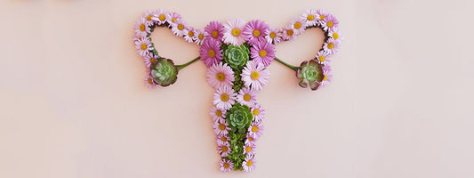  vaginal flora