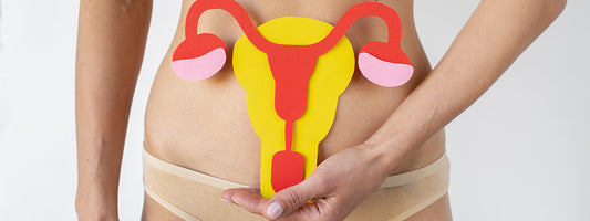 Vaginal and Urinary Health