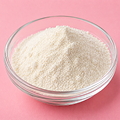 Lactobacillus-crispatus-Bi16